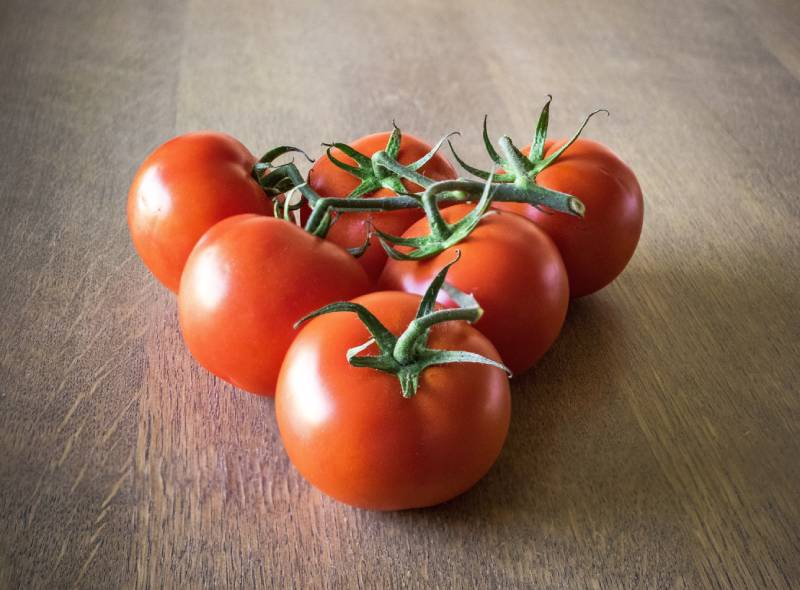 dyrke-tomat