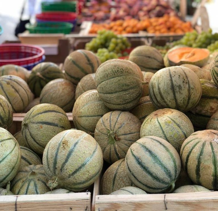 Dyrke-Melon