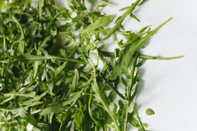 Dyrke Ruccola - Slik Lykkes Du!